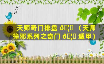 天师奇门排盘 🦊 （天师撞邪系列之奇门 🦋 遁甲）
